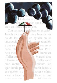 Antes y después del río Cazones