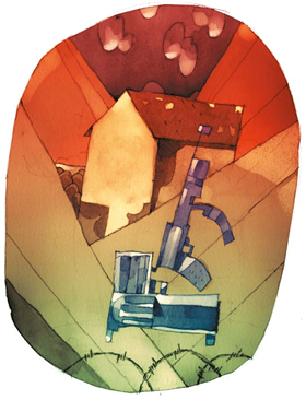 ¿Otra vez descabezar bandas?